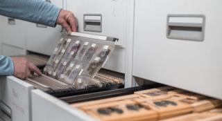 Foto met hersenstukjes