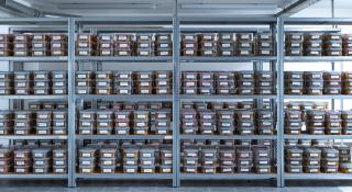 De hersencollectie foto