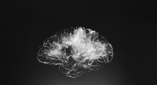 Foto van de binnenkant van een brein